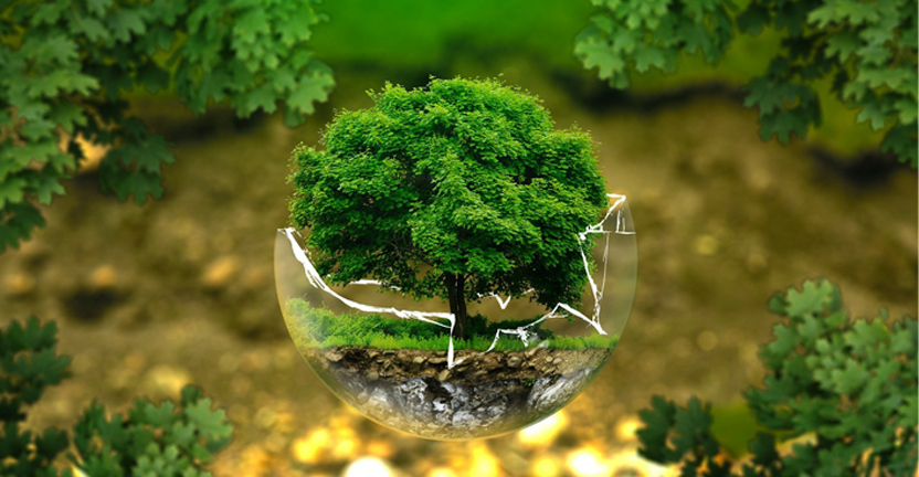 5 июня - Всемирный день окружающей среды
